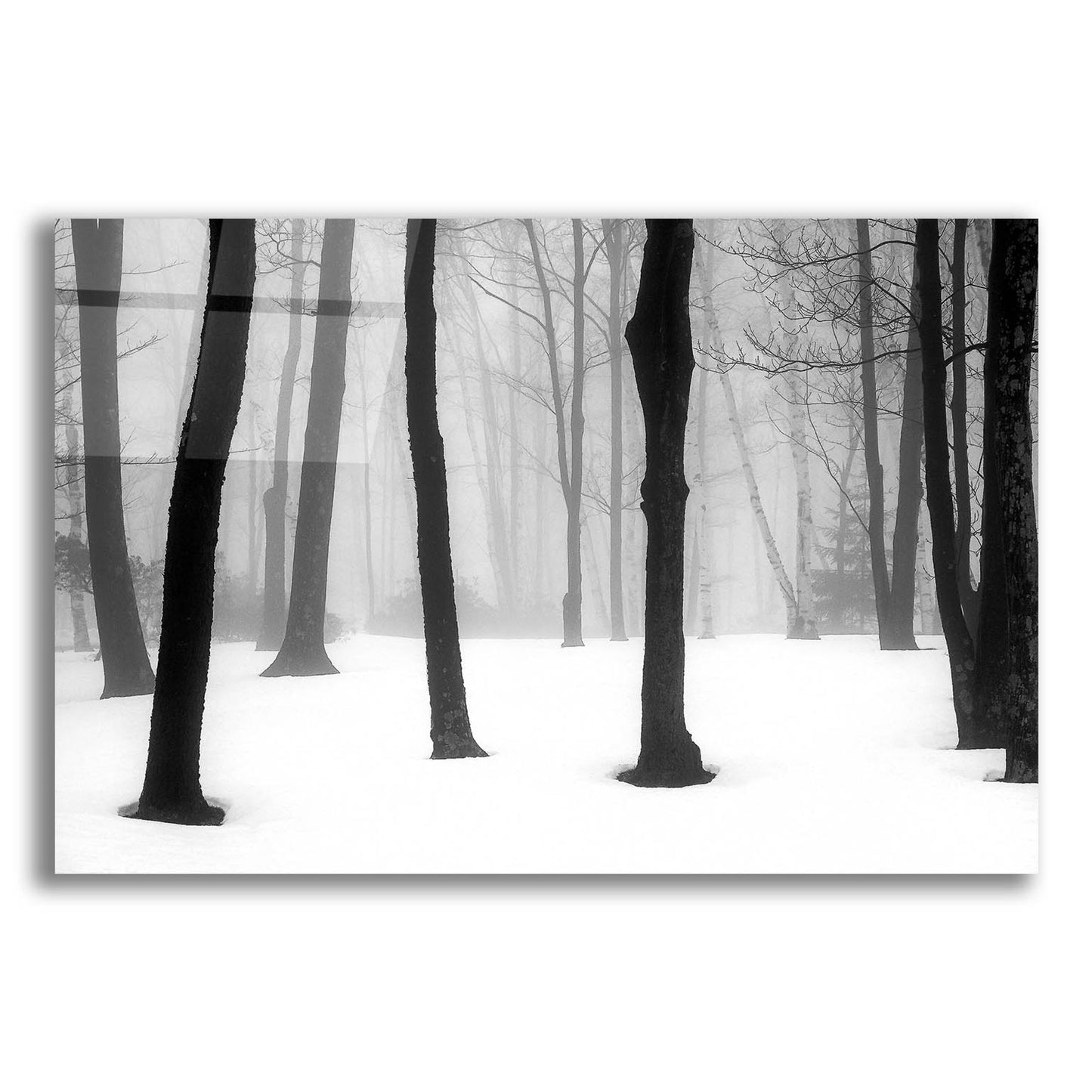 Epic Art ' Winter Fog' by Kelly Sinclair, Acrylic Glass Wall Art