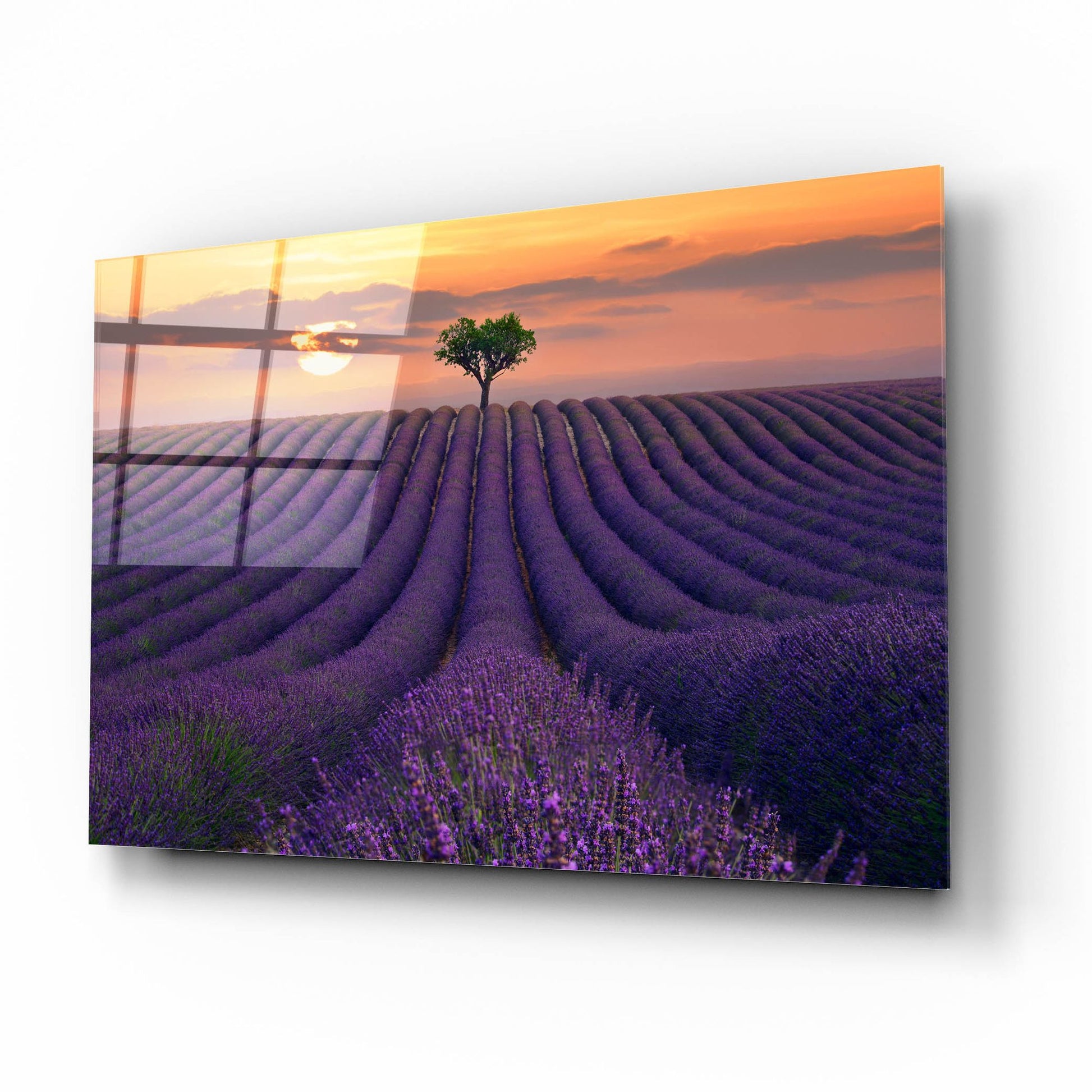 Epic Art ' For the Love of Lavender' by Lee Sie, Acrylic Glass Wall Art,16x12