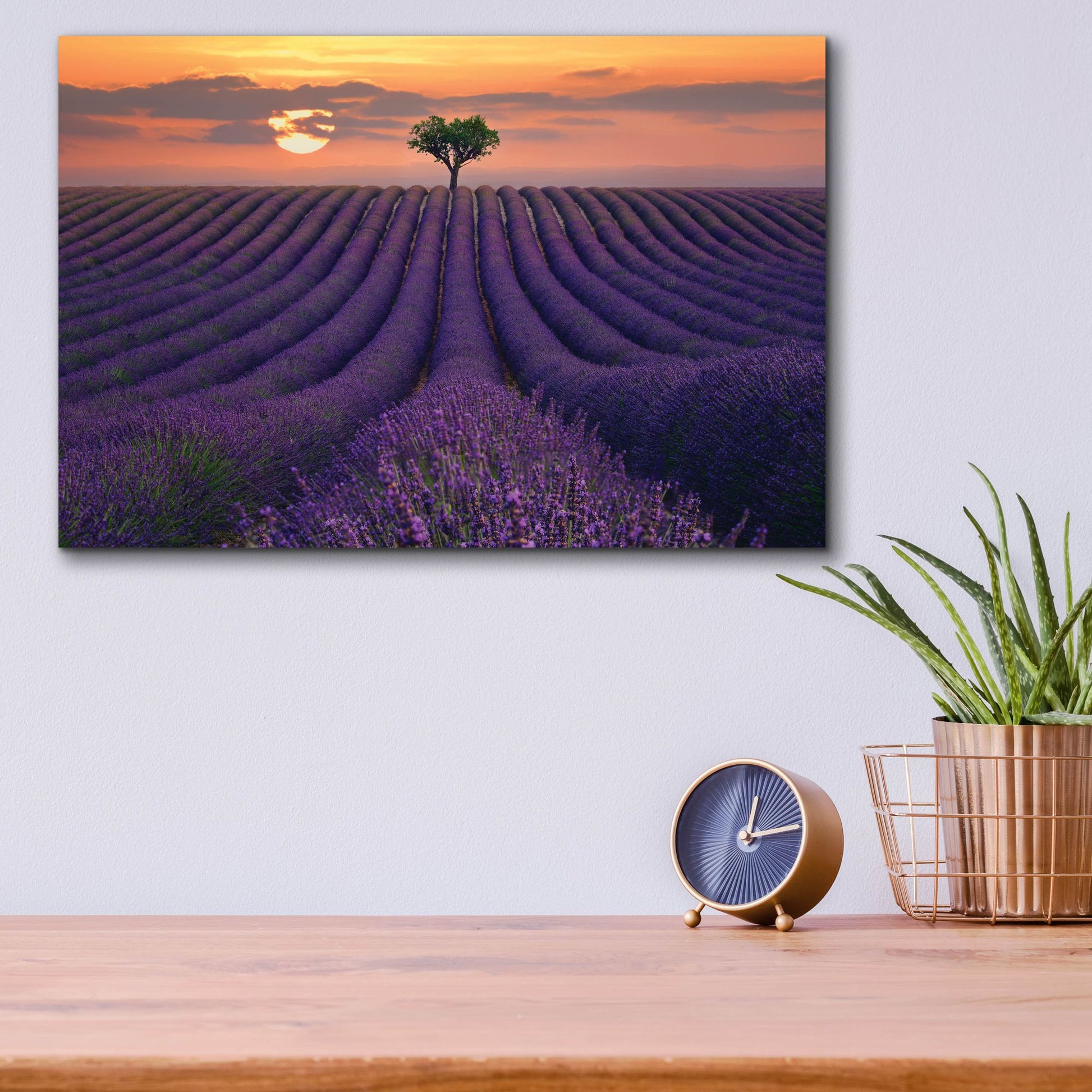 Epic Art ' For the Love of Lavender' by Lee Sie, Acrylic Glass Wall Art,16x12