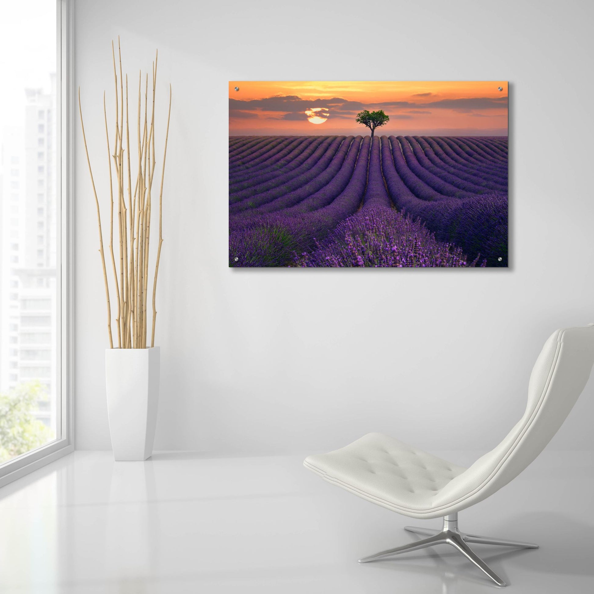 Epic Art ' For the Love of Lavender' by Lee Sie, Acrylic Glass Wall Art,36x24