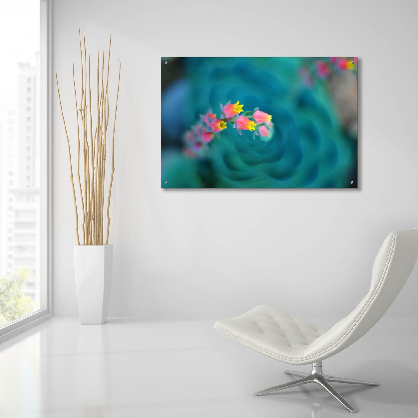 Epic Art ' Rosularia' by Lee Sie, Acrylic Glass Wall Art,36x24