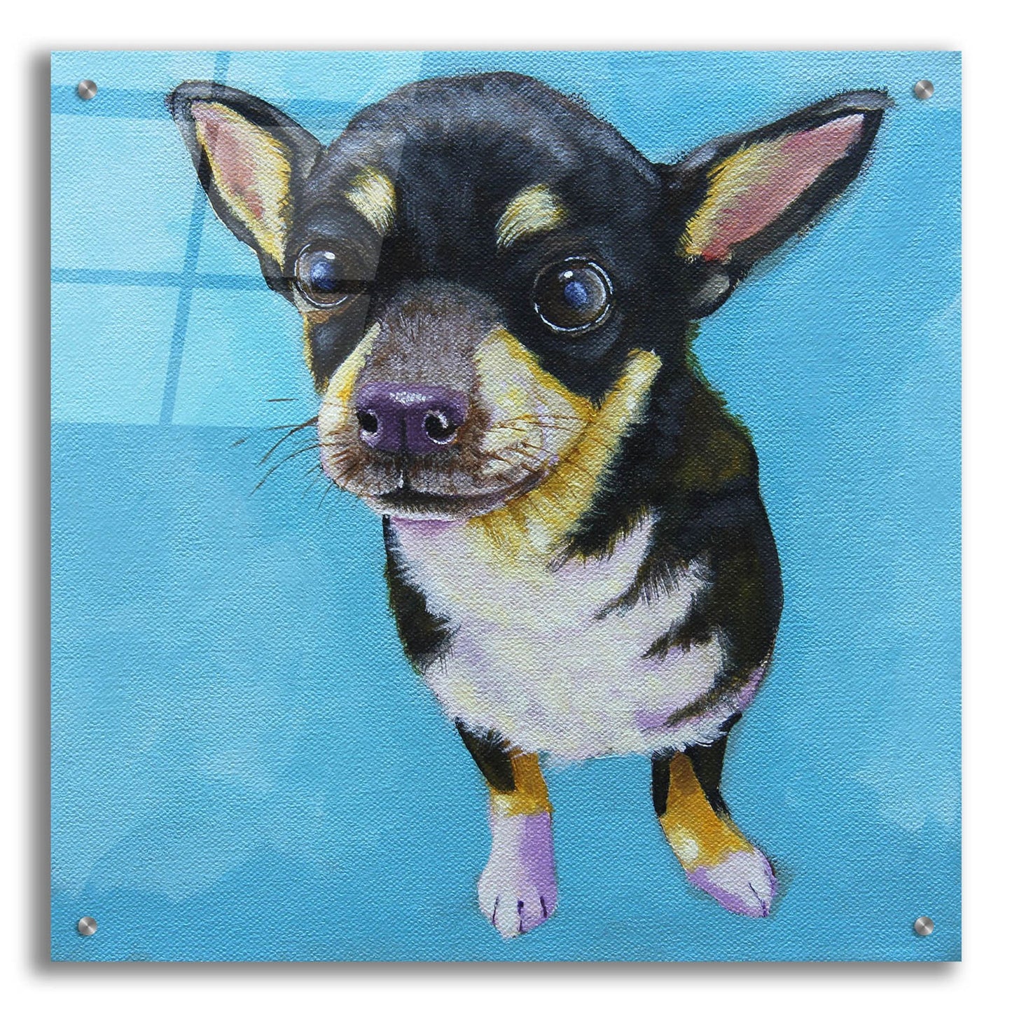 Epic Art ' Rachel's Dog' by Lucia Stewart, Acrylic Glass Wall Art