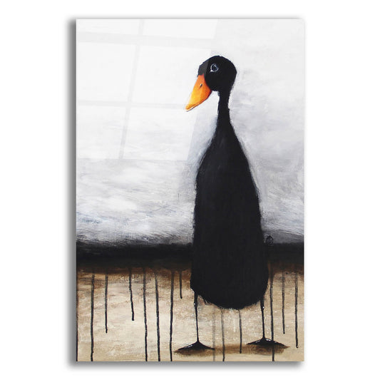 Epic Art ' The Black Duck' by Lucia Stewart, Acrylic Glass Wall Art