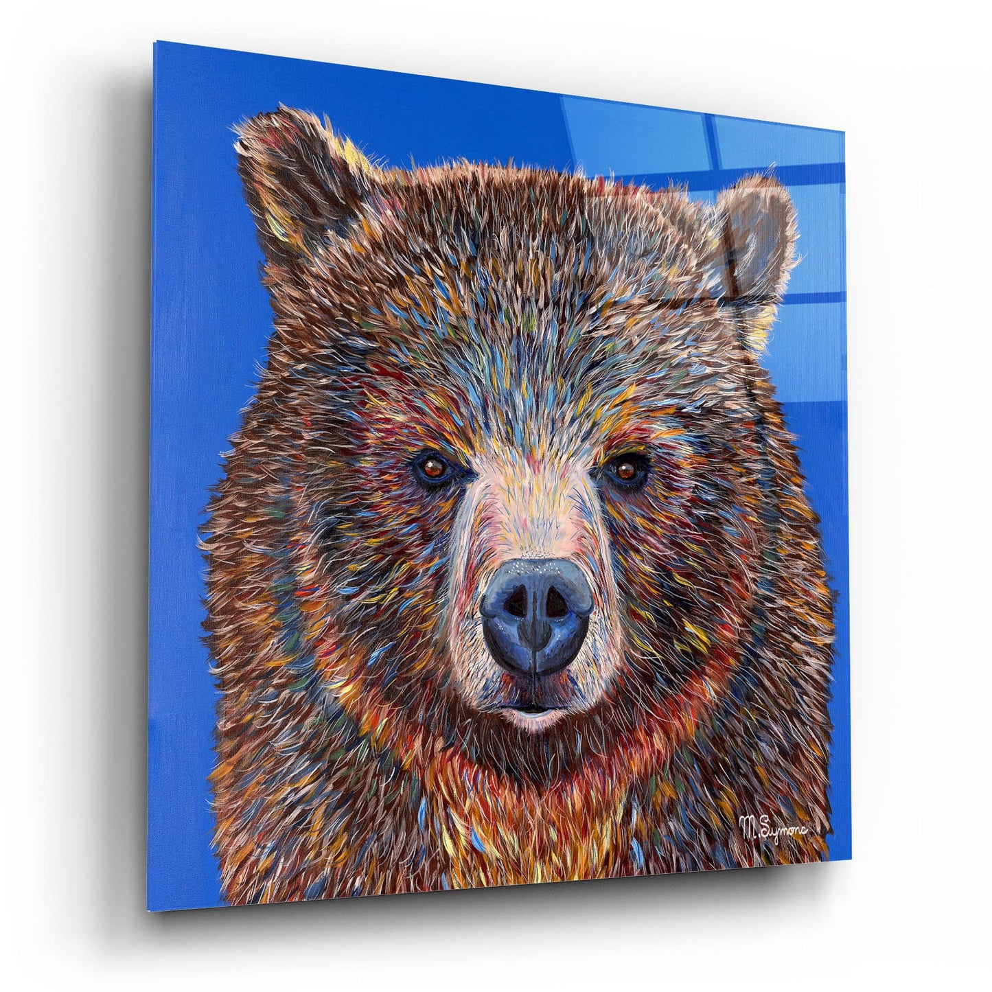 Epic Art ' Gus' by Melissa Symons, Acrylic Glass Wall Art,12x12