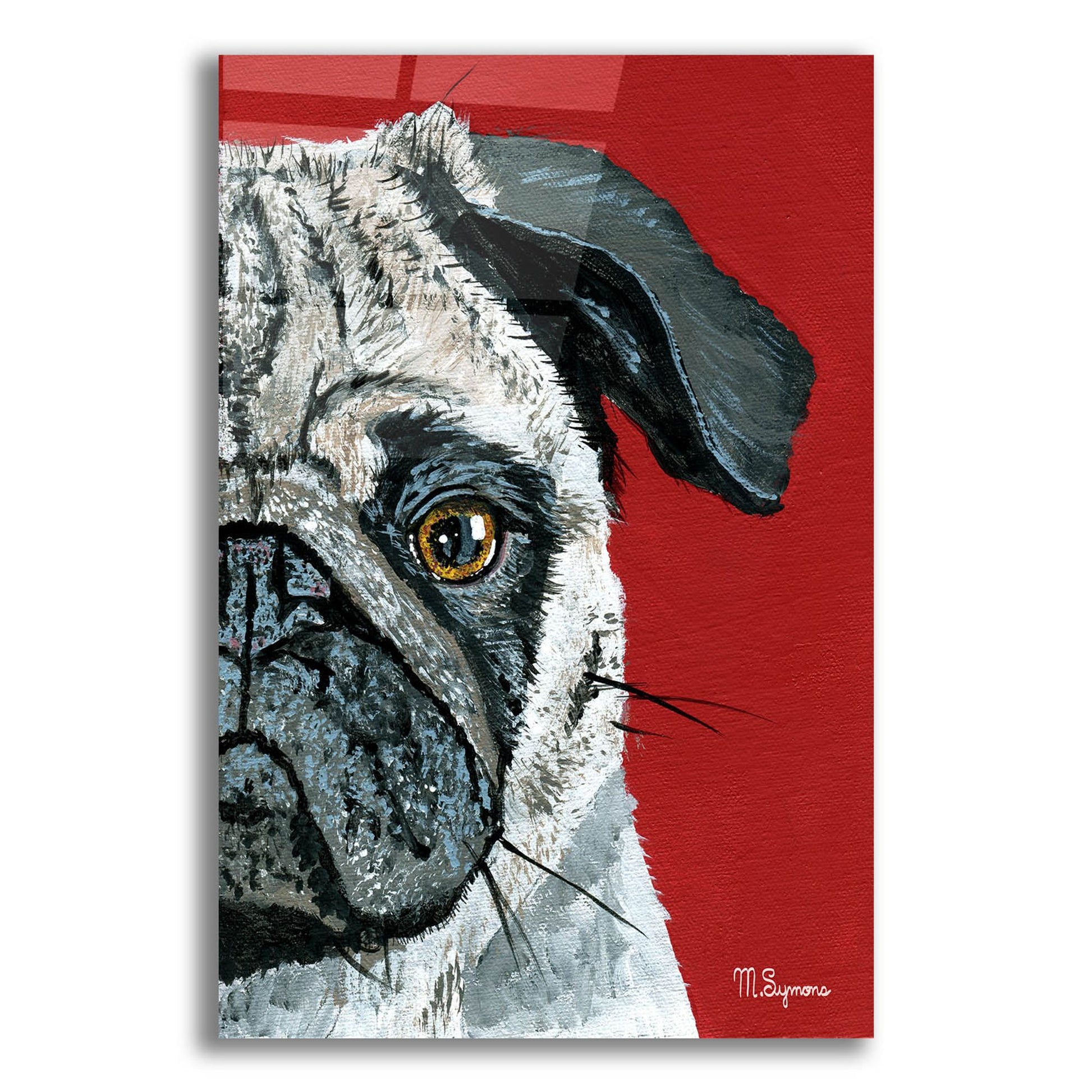 Epic Art ' Pug a Boo' by Melissa Symons, Acrylic Glass Wall Art