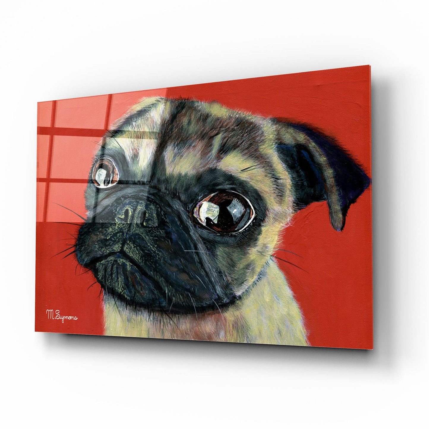 Epic Art ' Pugly' by Melissa Symons, Acrylic Glass Wall Art,16x12