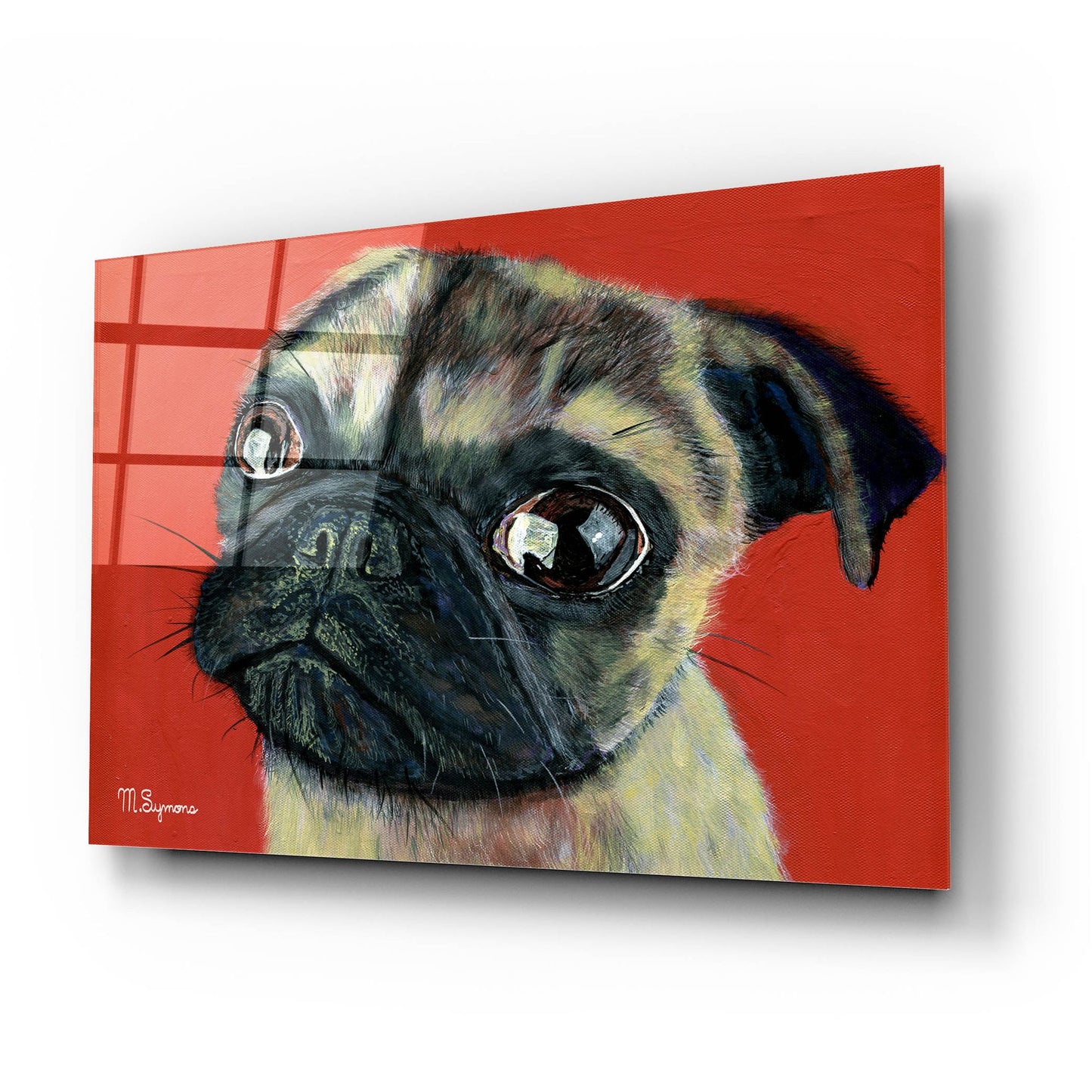 Epic Art ' Pugly' by Melissa Symons, Acrylic Glass Wall Art,24x16