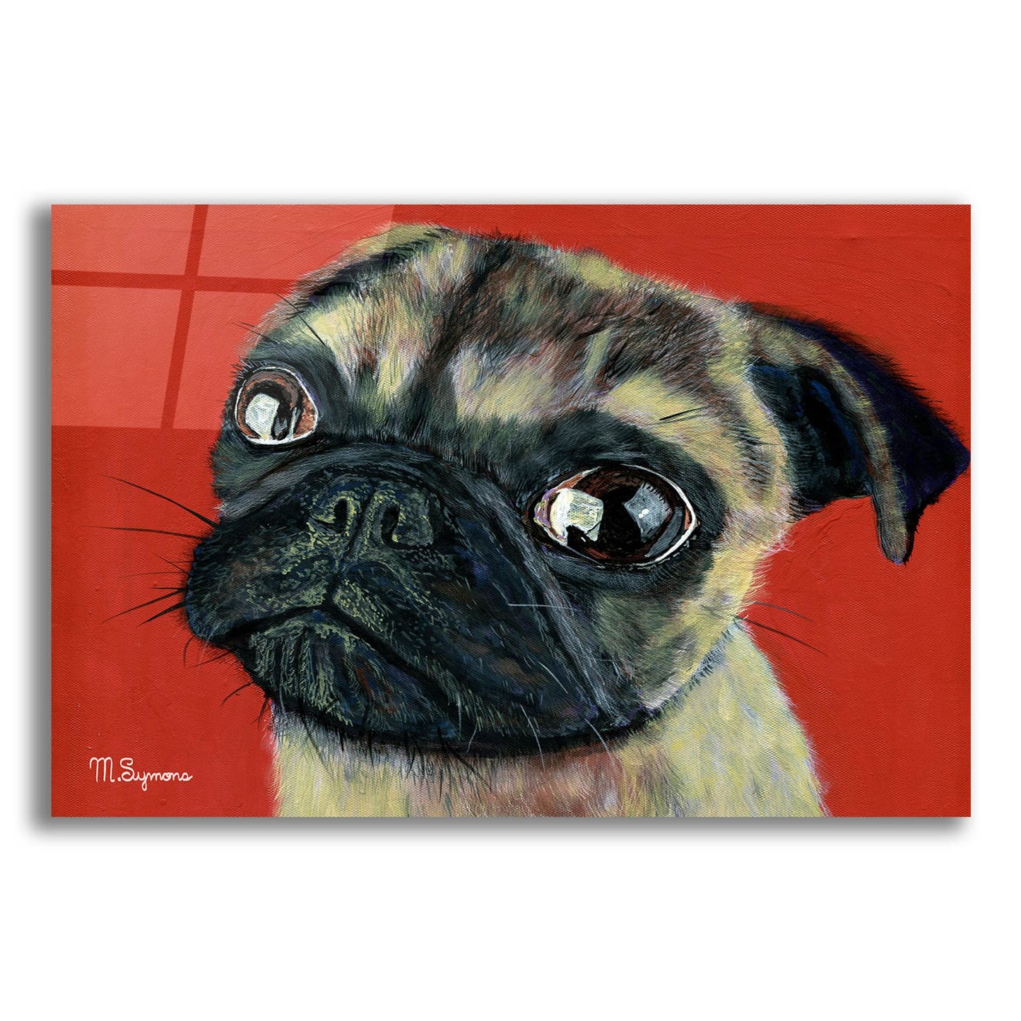 Epic Art ' Pugly' by Melissa Symons, Acrylic Glass Wall Art,24x16