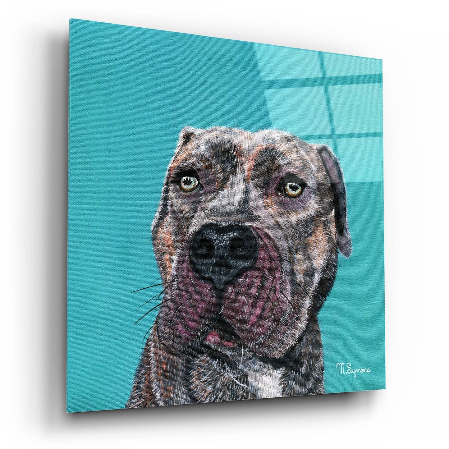 Epic Art ' Good Boy' by Melissa Symons, Acrylic Glass Wall Art,12x12