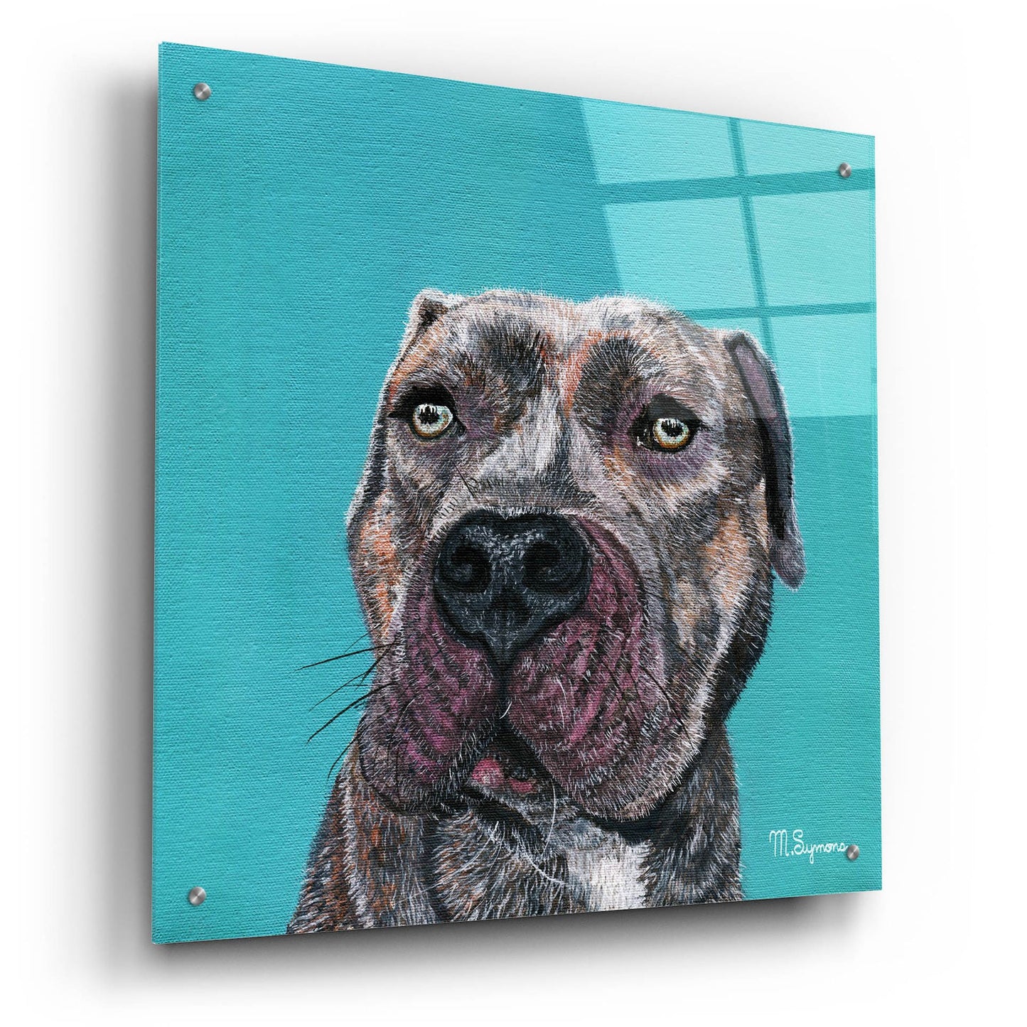 Epic Art ' Good Boy' by Melissa Symons, Acrylic Glass Wall Art,24x24