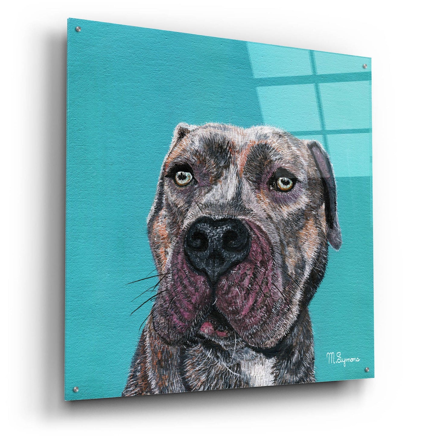 Epic Art ' Good Boy' by Melissa Symons, Acrylic Glass Wall Art,36x36