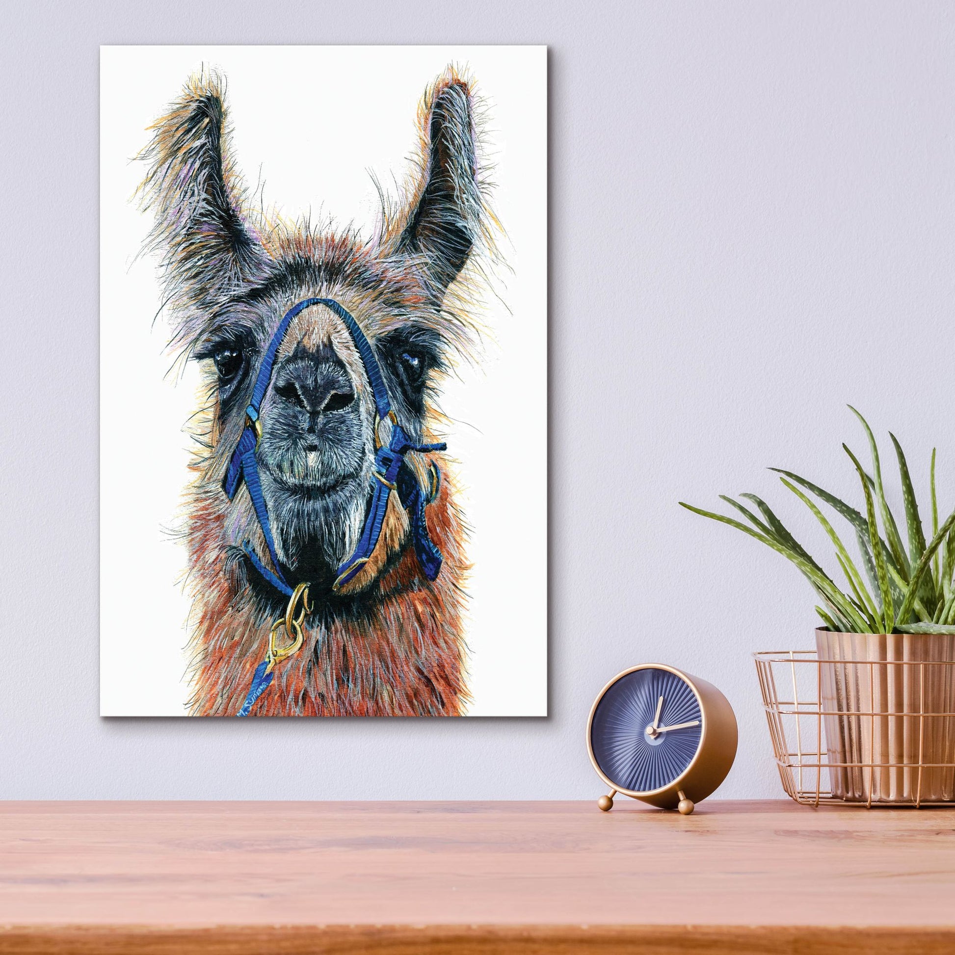 Epic Art ' Dalai Llama' by Melissa Symons, Acrylic Glass Wall Art,12x16