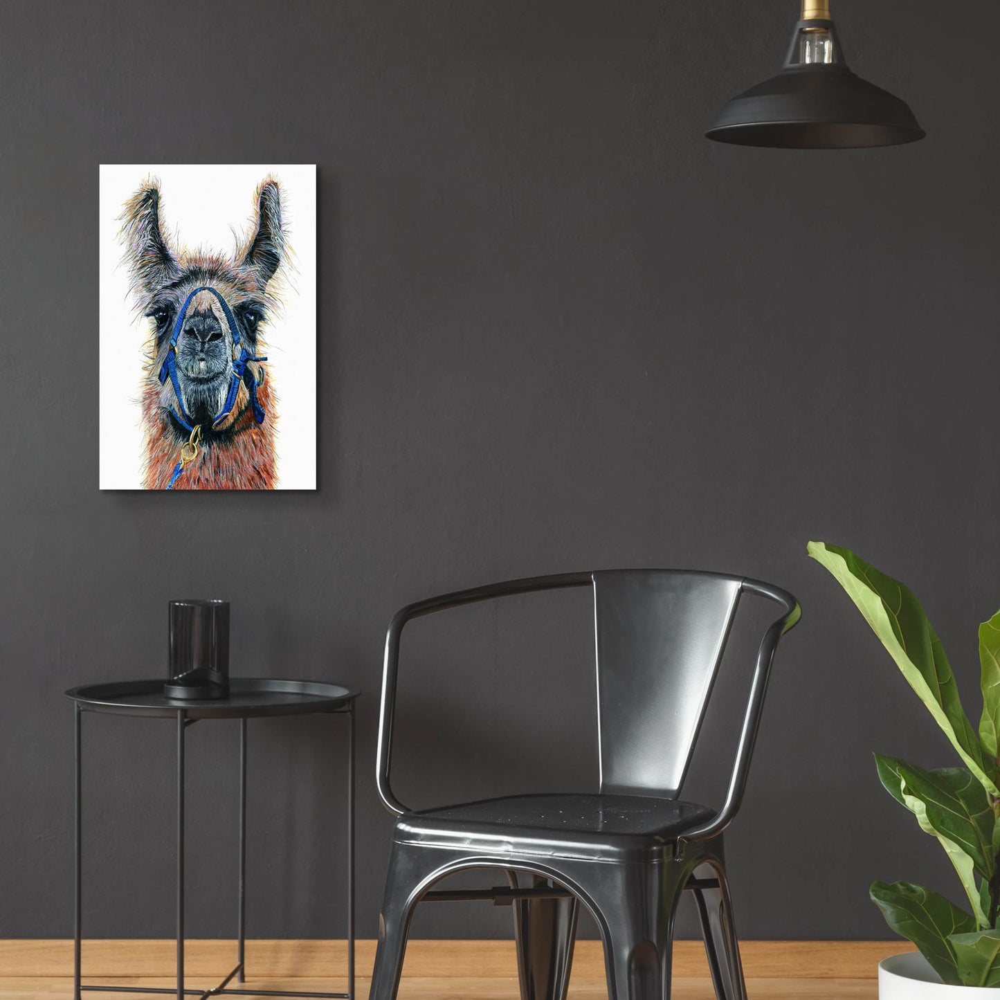 Epic Art ' Dalai Llama' by Melissa Symons, Acrylic Glass Wall Art,16x24