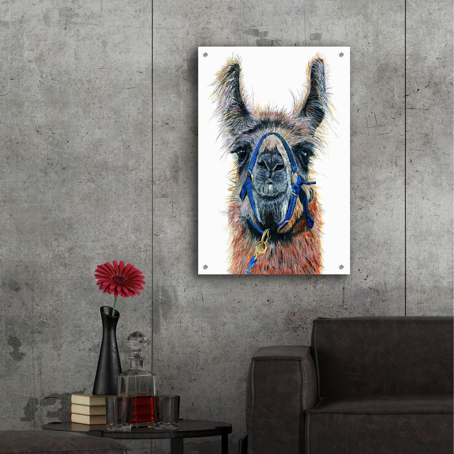 Epic Art ' Dalai Llama' by Melissa Symons, Acrylic Glass Wall Art,24x36