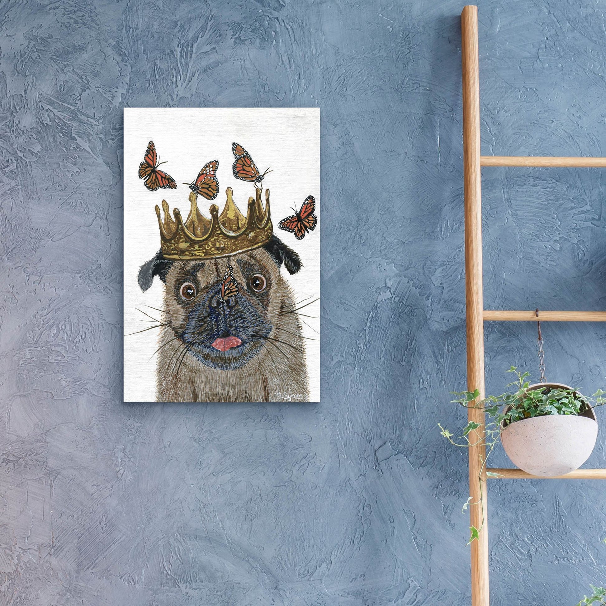 Epic Art ' A Crowned Pug' by Melissa Symons, Acrylic Glass Wall Art,16x24