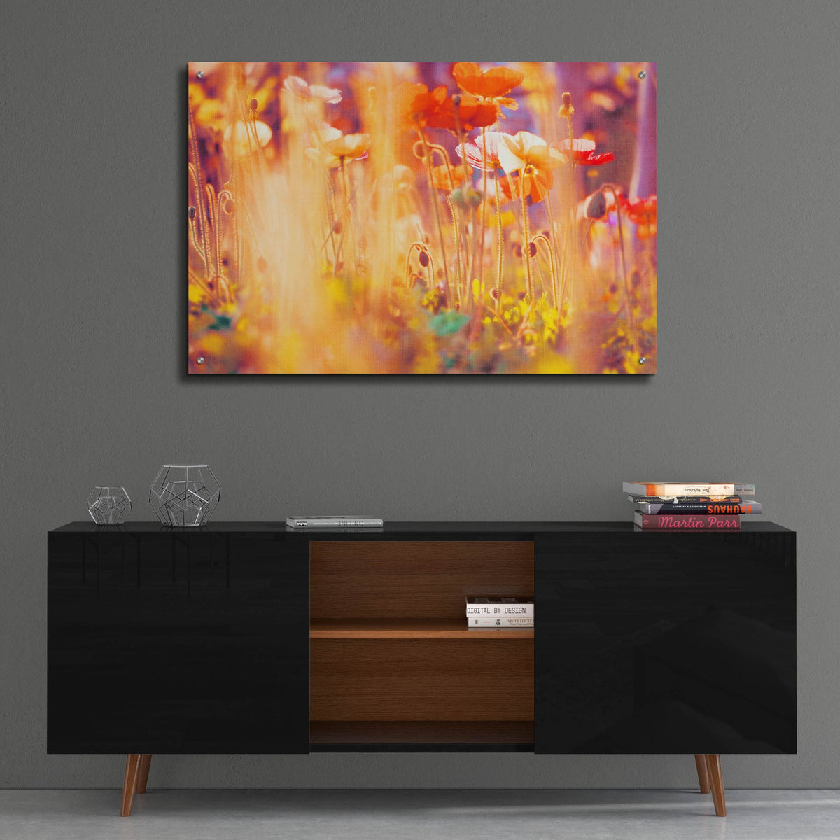 Epic Art ' I Am Alice' by Myan Soffia, Acrylic Glass Wall Art,36x24
