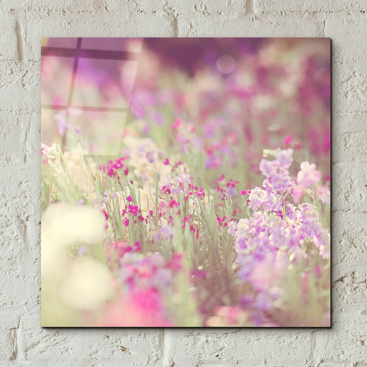 Epic Art ' Monet' by Myan Soffia, Acrylic Glass Wall Art,12x12