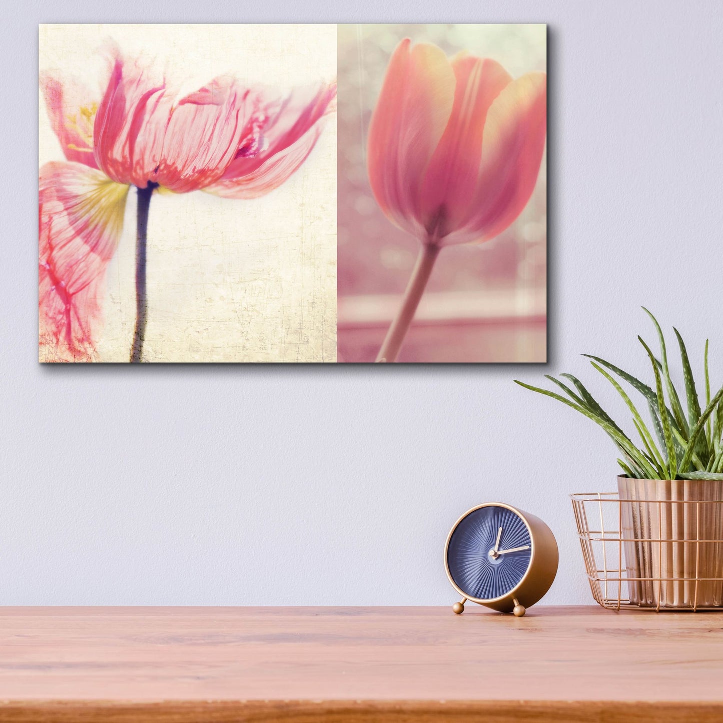 Epic Art ' Poppy & Tulip' by Myan Soffia, Acrylic Glass Wall Art,16x12