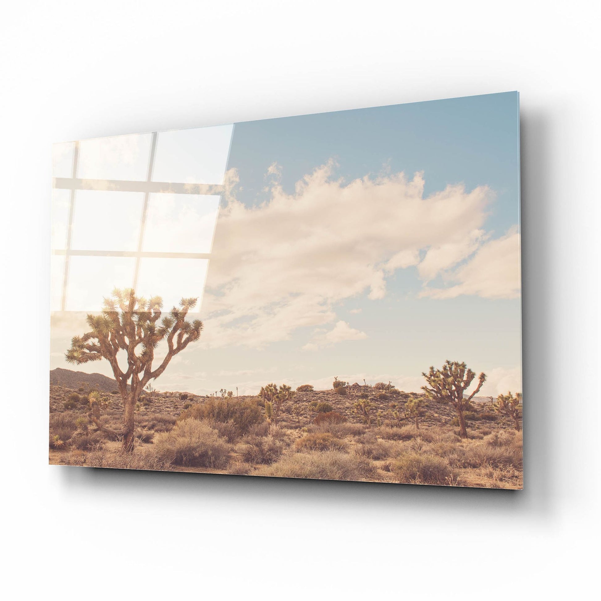 Epic Art ' Sunshine & Joshua Trees' by Myan Soffia, Acrylic Glass Wall Art,16x12