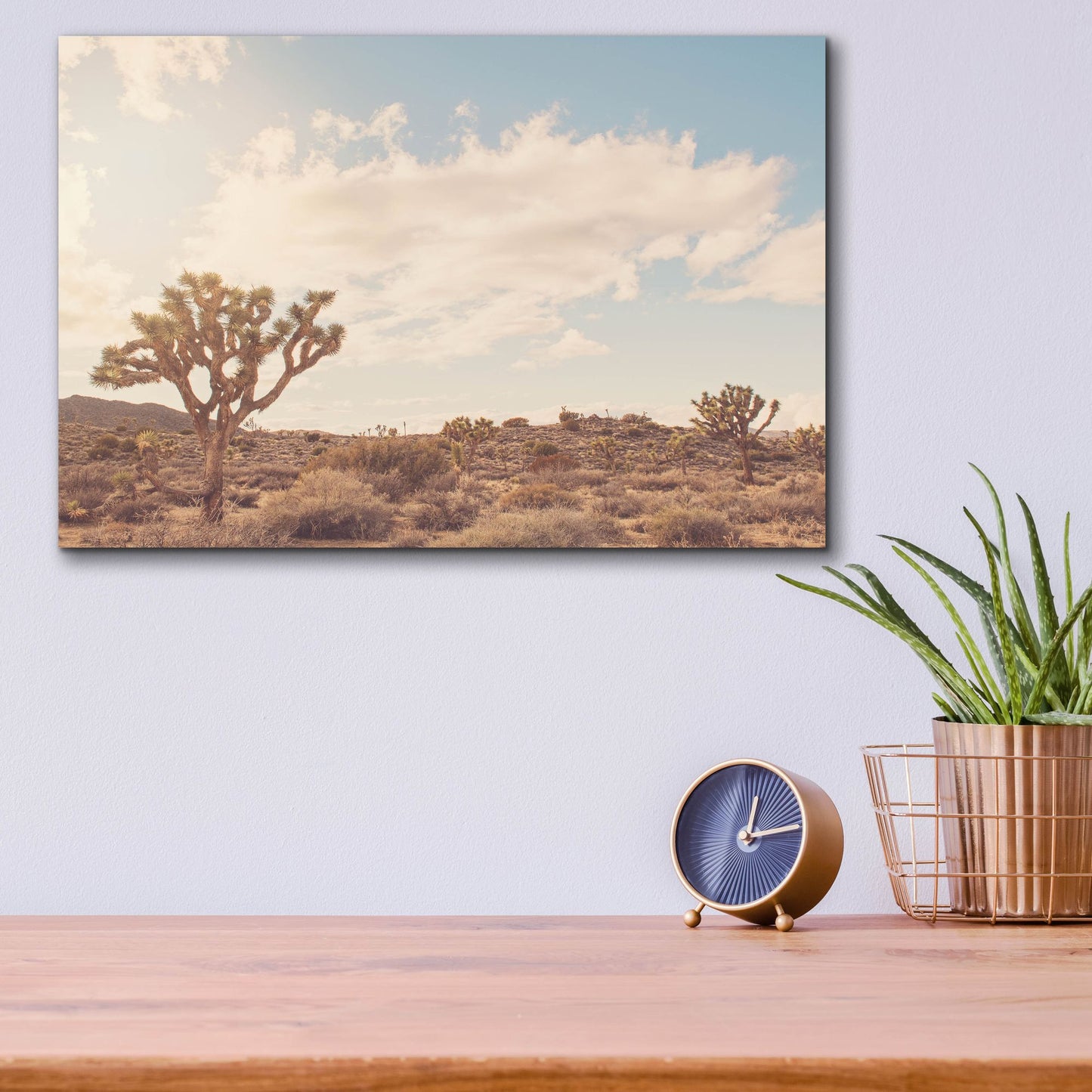 Epic Art ' Sunshine & Joshua Trees' by Myan Soffia, Acrylic Glass Wall Art,16x12