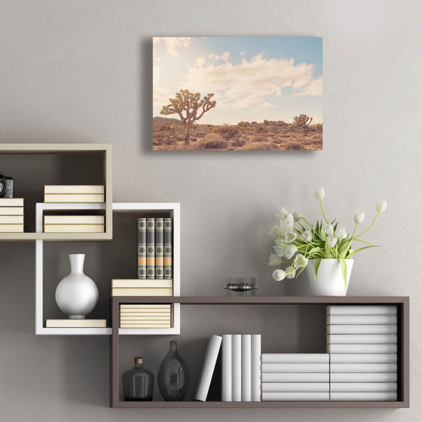 Epic Art ' Sunshine & Joshua Trees' by Myan Soffia, Acrylic Glass Wall Art,24x16