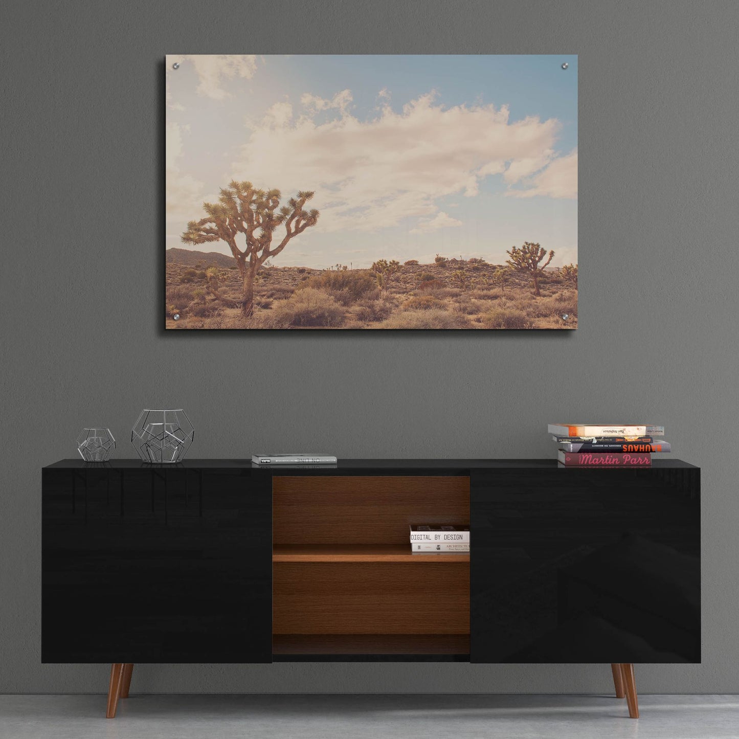 Epic Art ' Sunshine & Joshua Trees' by Myan Soffia, Acrylic Glass Wall Art,36x24