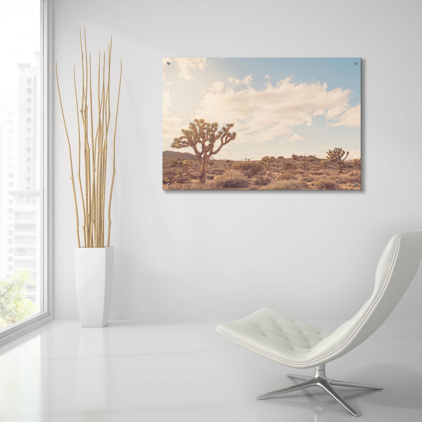 Epic Art ' Sunshine & Joshua Trees' by Myan Soffia, Acrylic Glass Wall Art,36x24