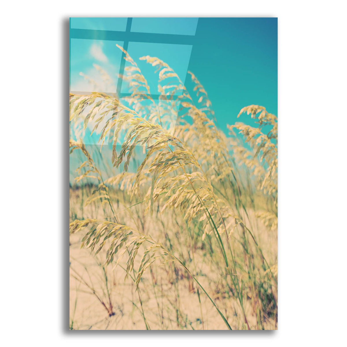 Epic Art ' Sea Oats' by Myan Soffia, Acrylic Glass Wall Art