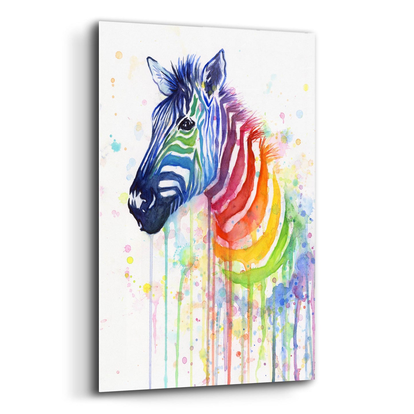 Epic Art ' Rainbow Zebra' by Olga Shvartsur, Acrylic Glass Wall Art,12x16