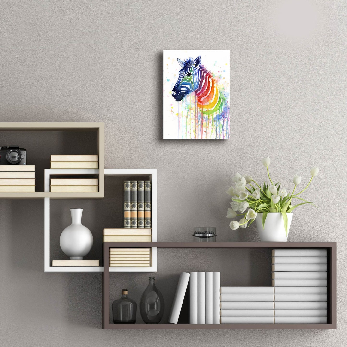 Epic Art ' Rainbow Zebra' by Olga Shvartsur, Acrylic Glass Wall Art,12x16