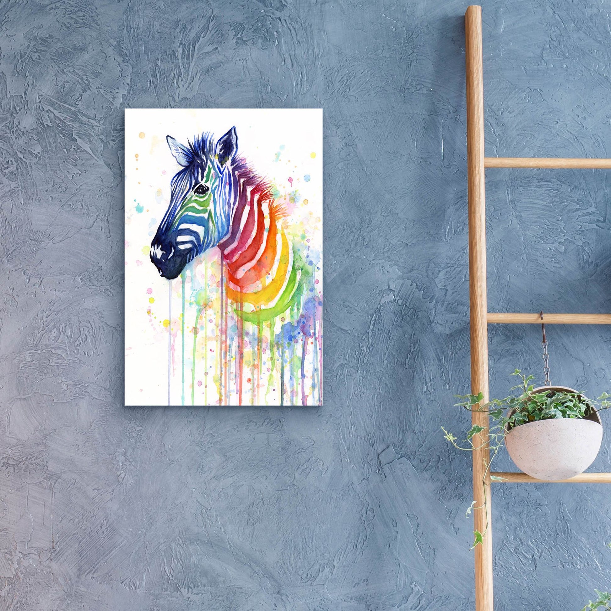 Epic Art ' Rainbow Zebra' by Olga Shvartsur, Acrylic Glass Wall Art,16x24