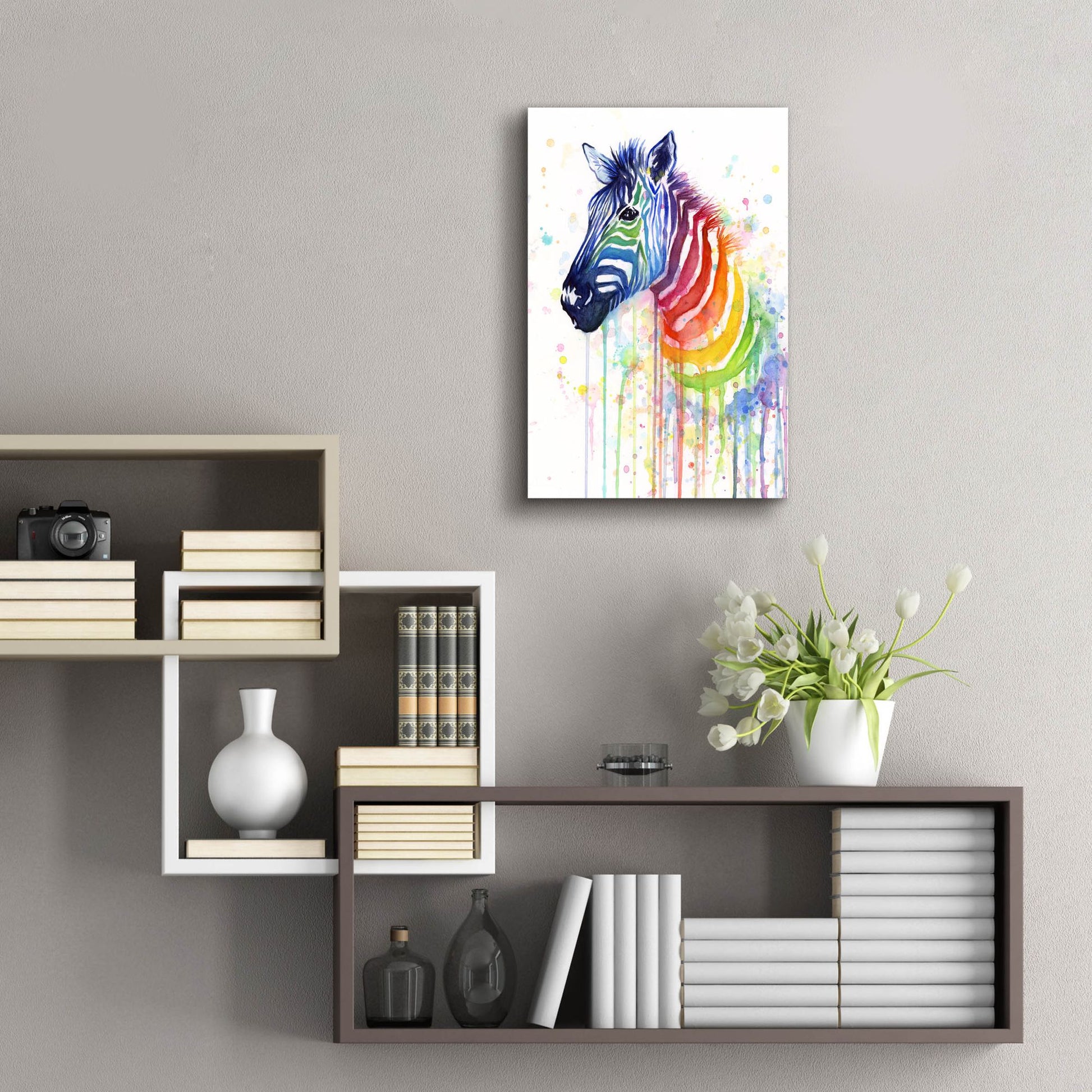 Epic Art ' Rainbow Zebra' by Olga Shvartsur, Acrylic Glass Wall Art,16x24