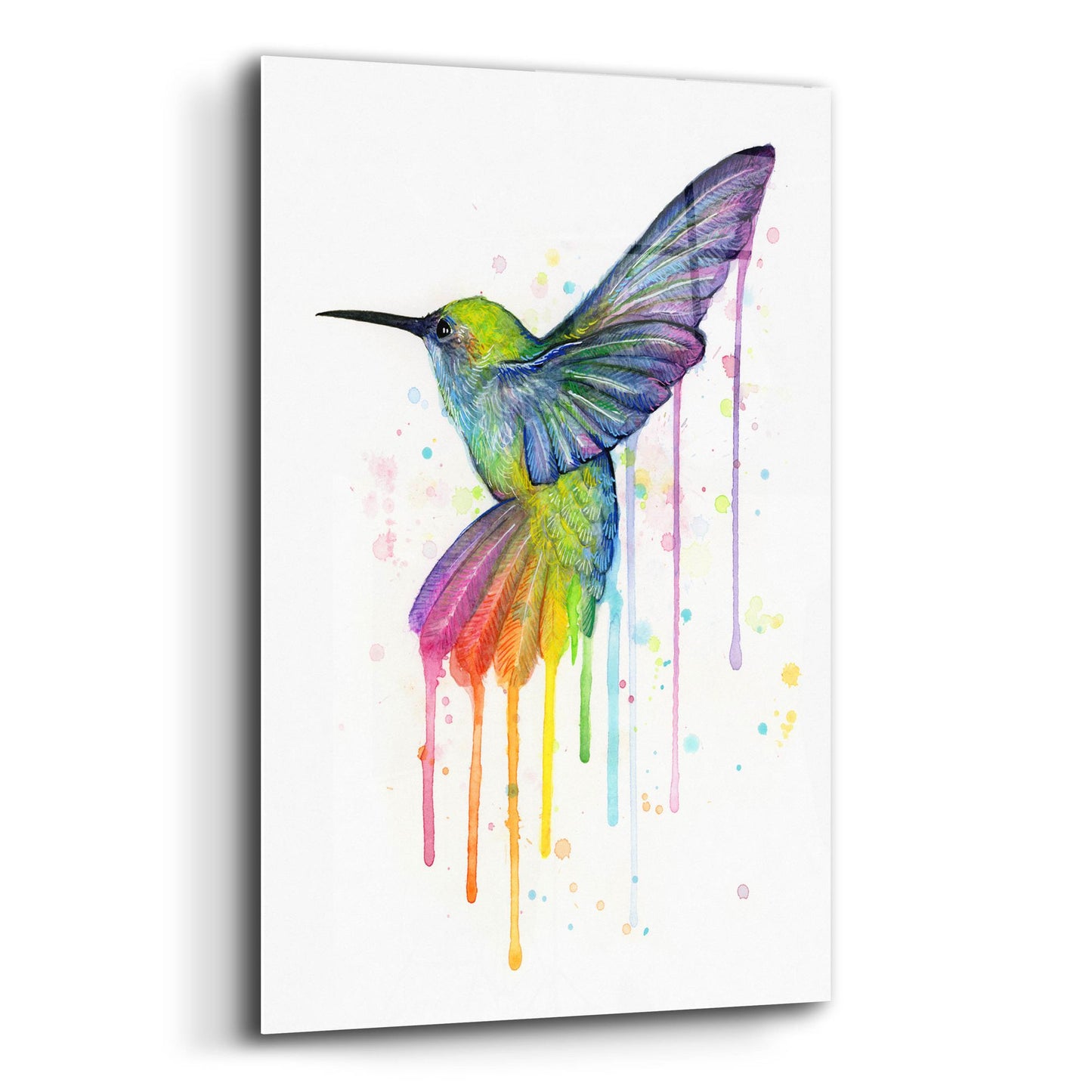 Epic Art ' Rainbow Hummingbird' by Olga Shvartsur, Acrylic Glass Wall Art,12x16