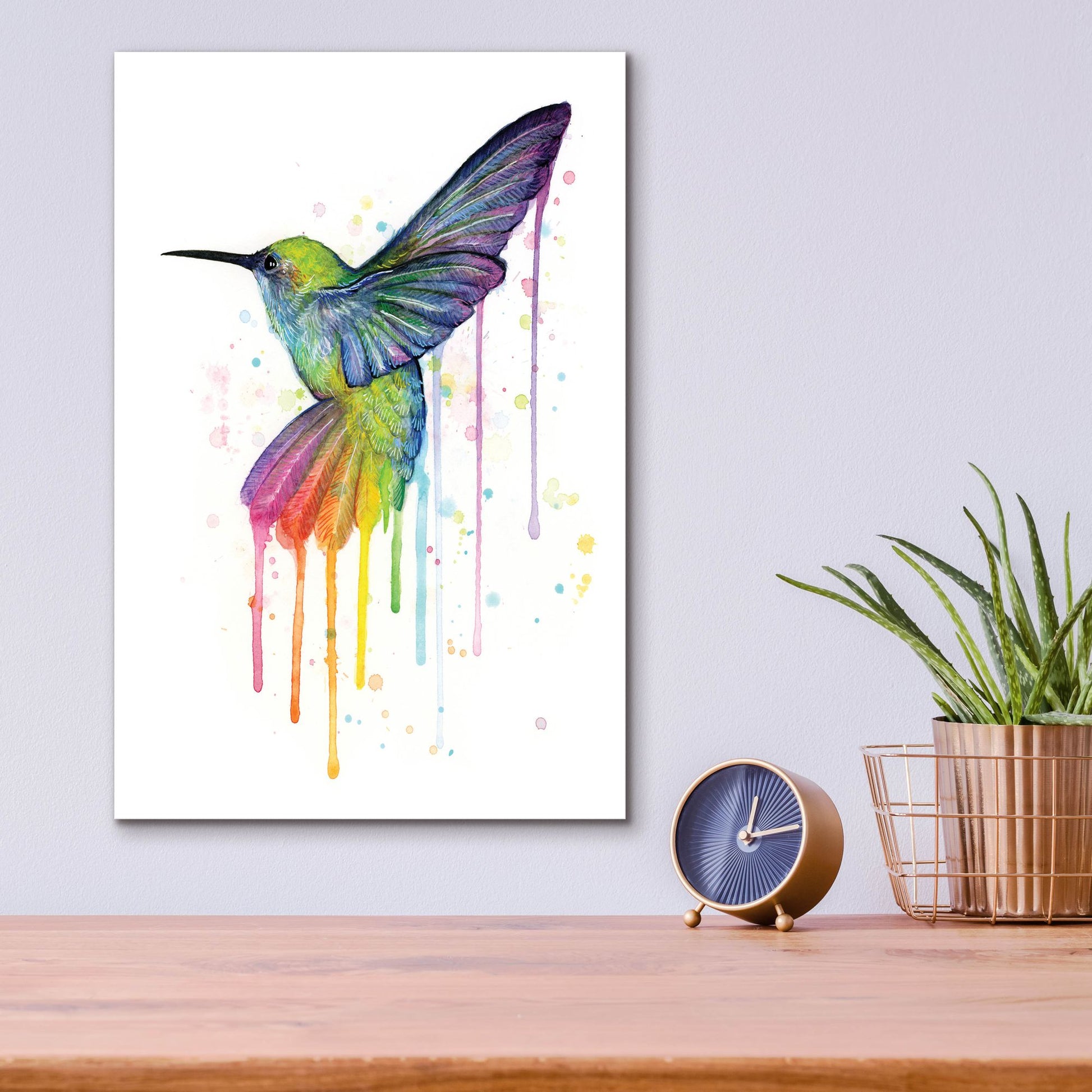 Epic Art ' Rainbow Hummingbird' by Olga Shvartsur, Acrylic Glass Wall Art,12x16