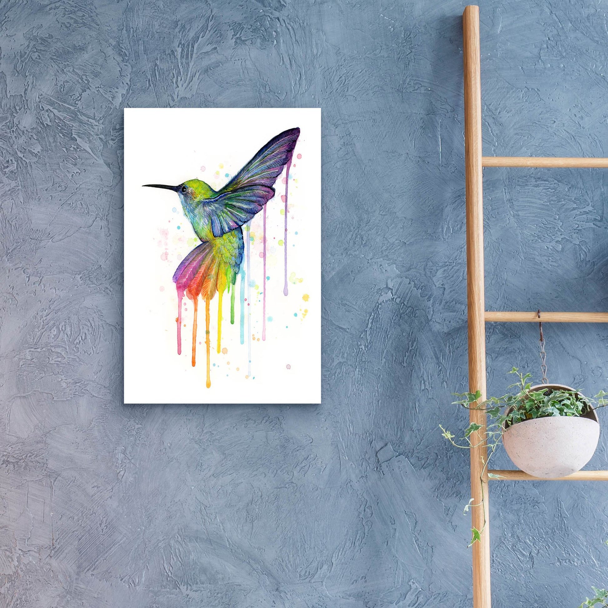 Epic Art ' Rainbow Hummingbird' by Olga Shvartsur, Acrylic Glass Wall Art,16x24