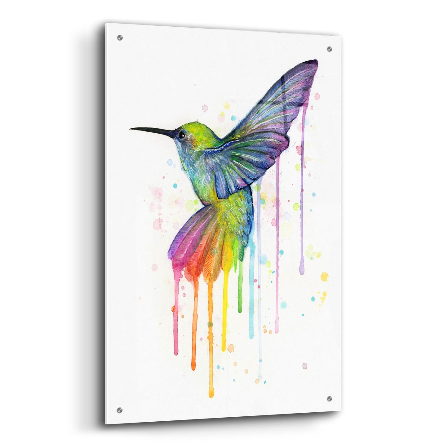 Epic Art ' Rainbow Hummingbird' by Olga Shvartsur, Acrylic Glass Wall Art,24x36