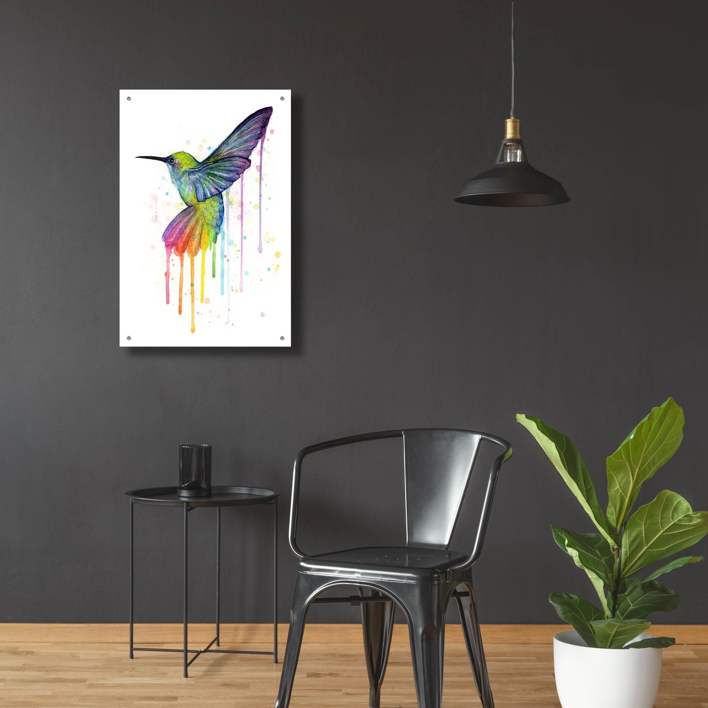 Epic Art ' Rainbow Hummingbird' by Olga Shvartsur, Acrylic Glass Wall Art,24x36