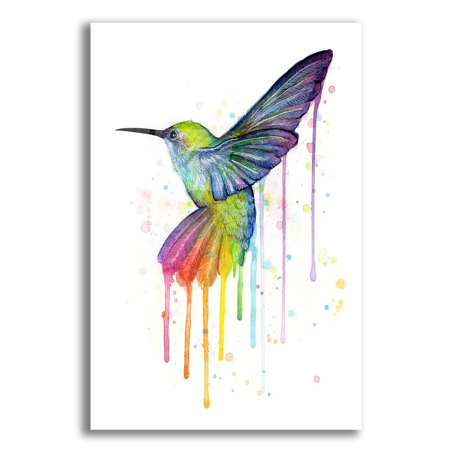 Epic Art ' Rainbow Hummingbird' by Olga Shvartsur, Acrylic Glass Wall Art