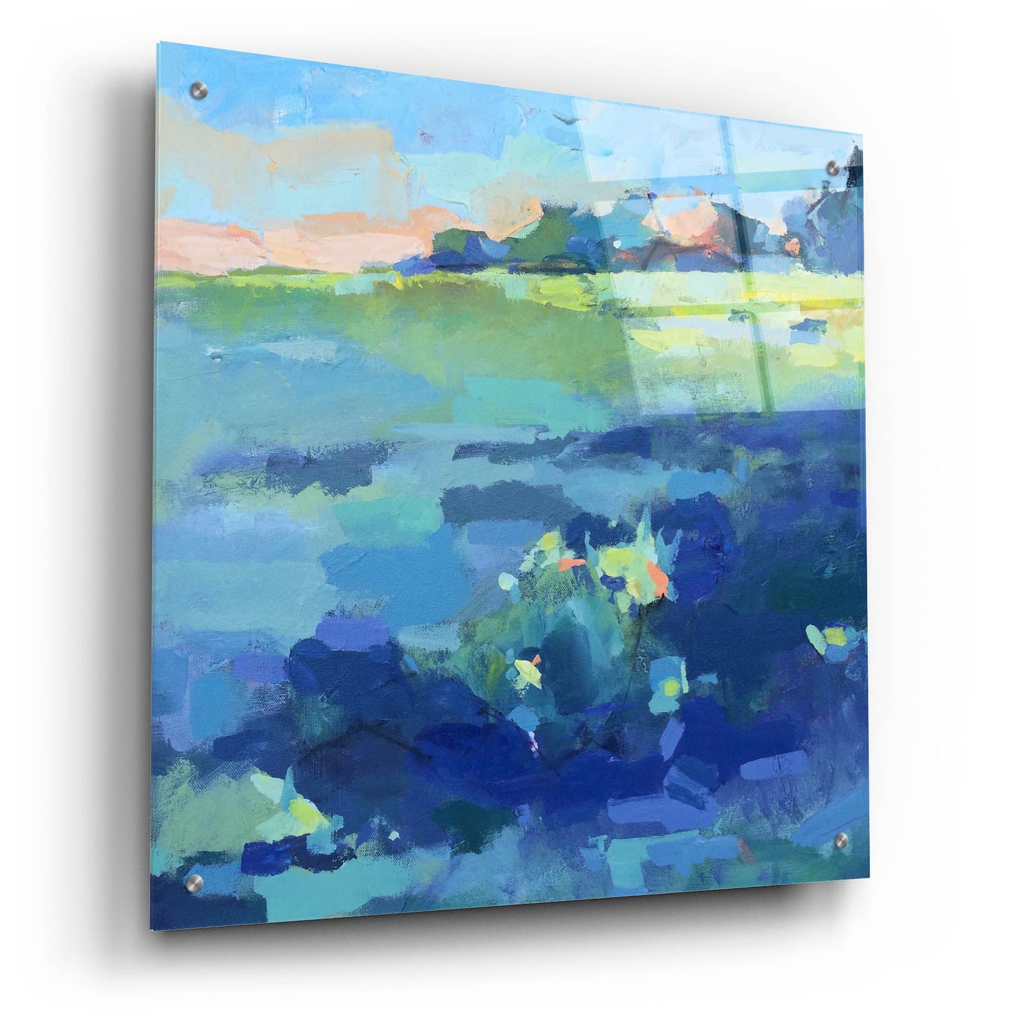 Epic Art ' Field' by Page Pearson Railsback, Acrylic Glass Wall Art,24x24