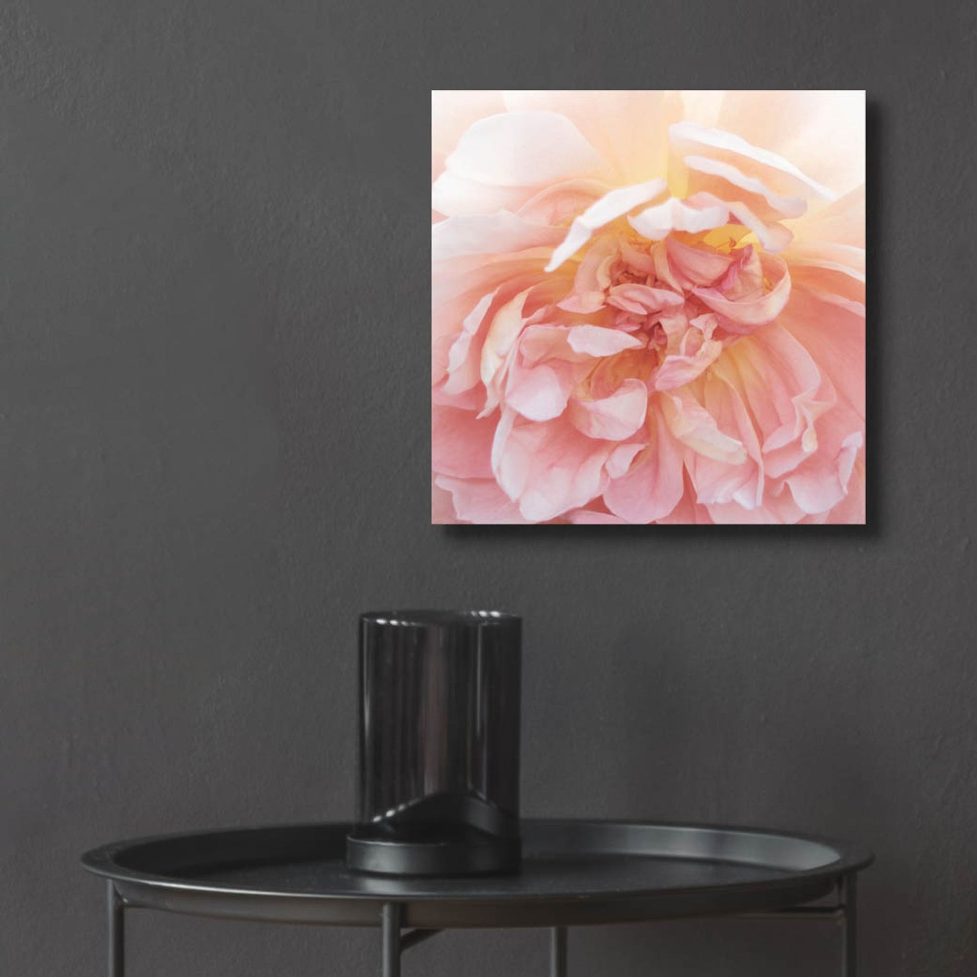 Epic Art ' Heavenly Rose' by Rebecca Swanson, Acrylic Glass Wall Art,12x12