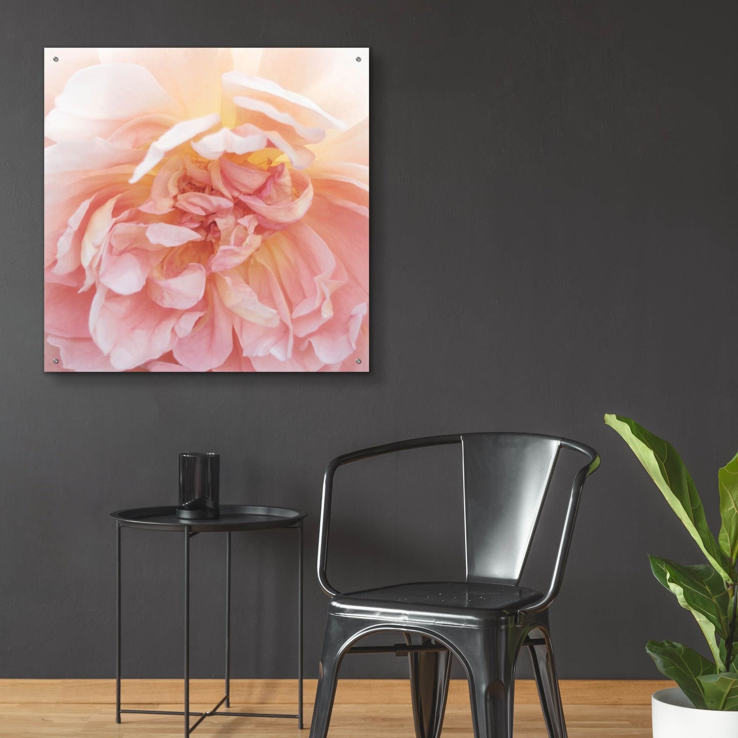 Epic Art ' Heavenly Rose' by Rebecca Swanson, Acrylic Glass Wall Art,36x36