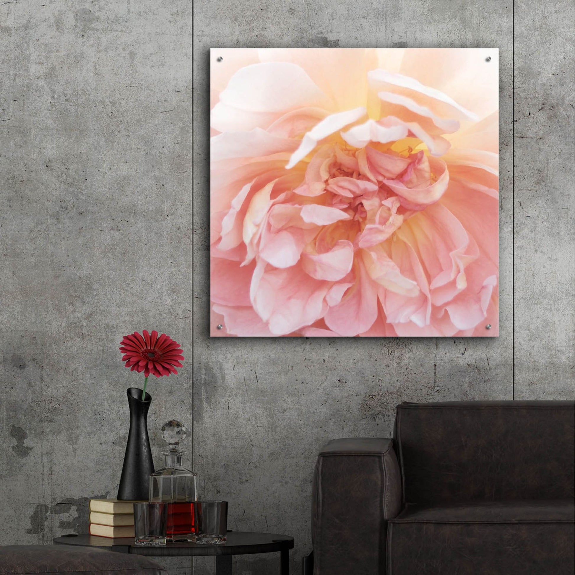 Epic Art ' Heavenly Rose' by Rebecca Swanson, Acrylic Glass Wall Art,36x36