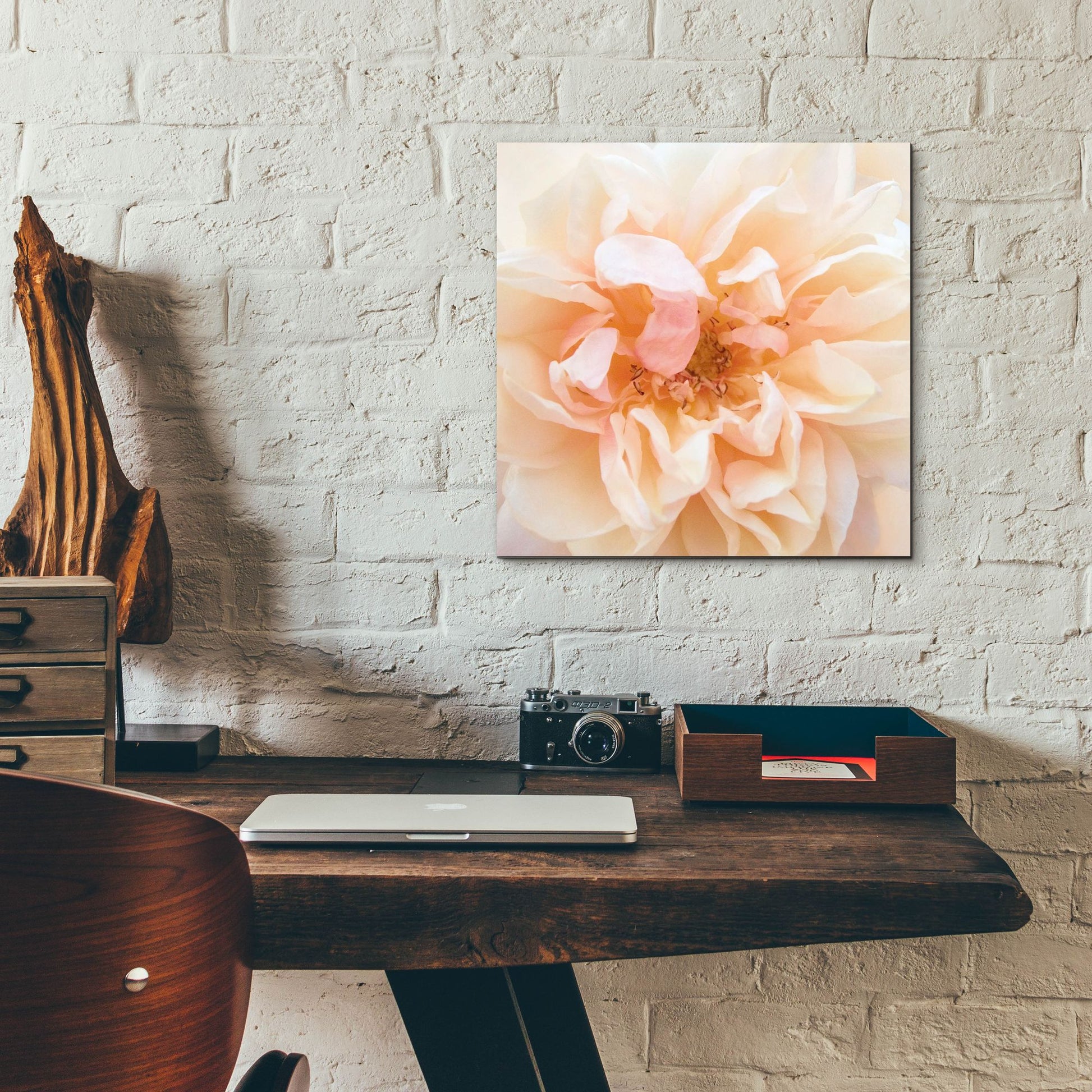 Epic Art ' Promise Rose' by Rebecca Swanson, Acrylic Glass Wall Art,12x12