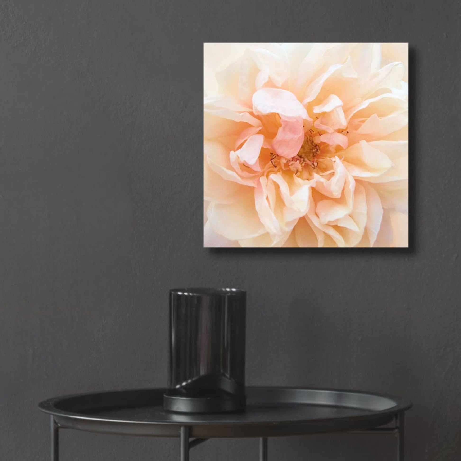 Epic Art ' Promise Rose' by Rebecca Swanson, Acrylic Glass Wall Art,12x12