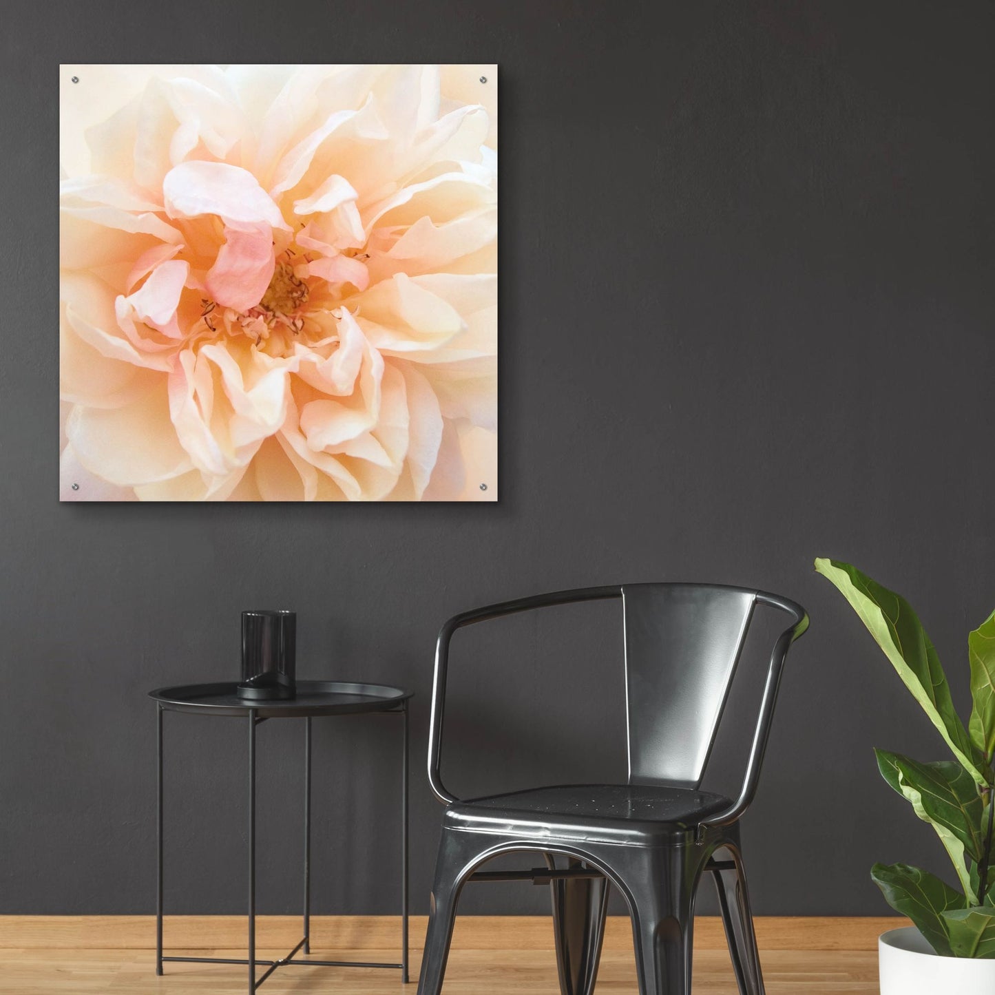 Epic Art ' Promise Rose' by Rebecca Swanson, Acrylic Glass Wall Art,36x36