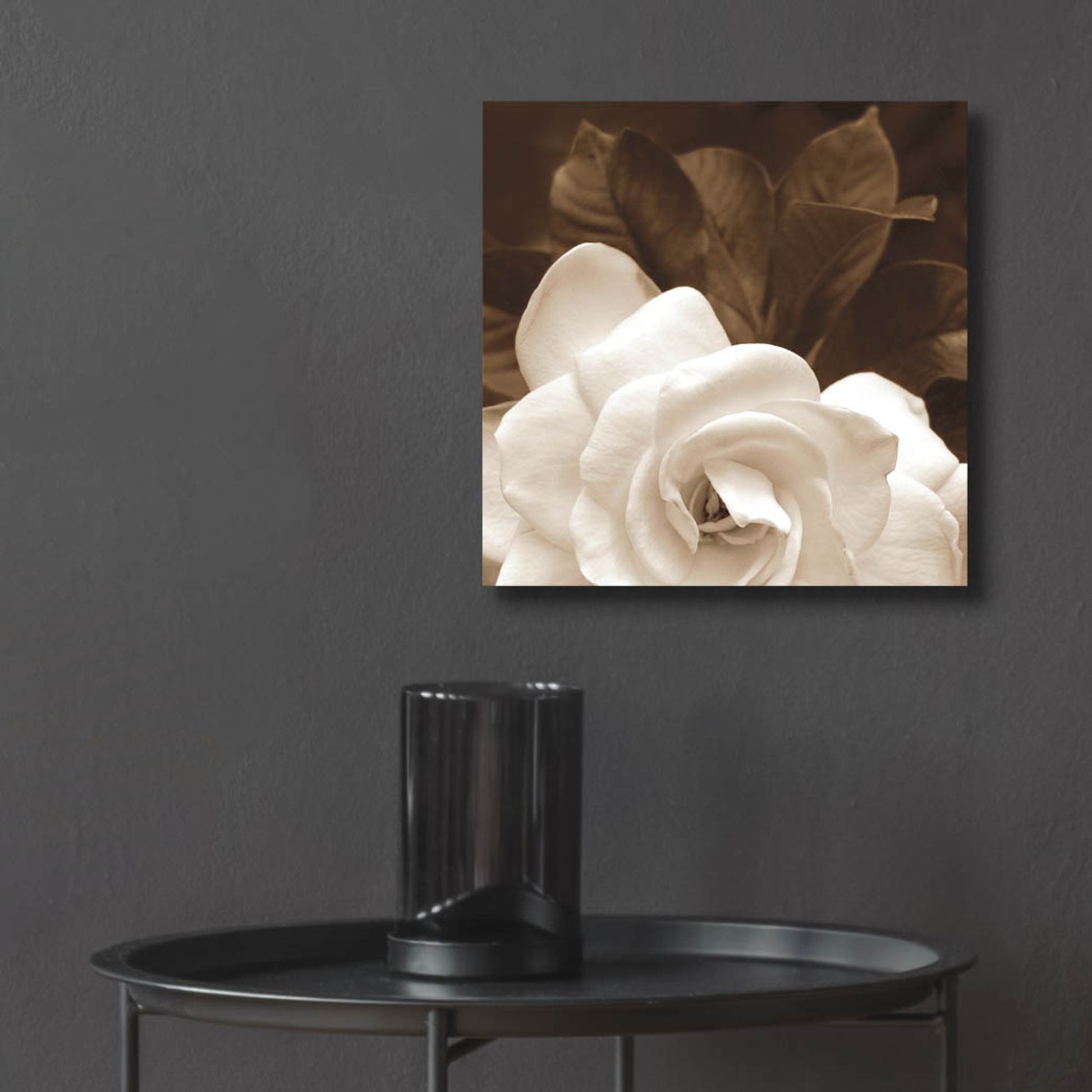 Epic Art ' Gardenia Garden' by Rebecca Swanson, Acrylic Glass Wall Art,12x12