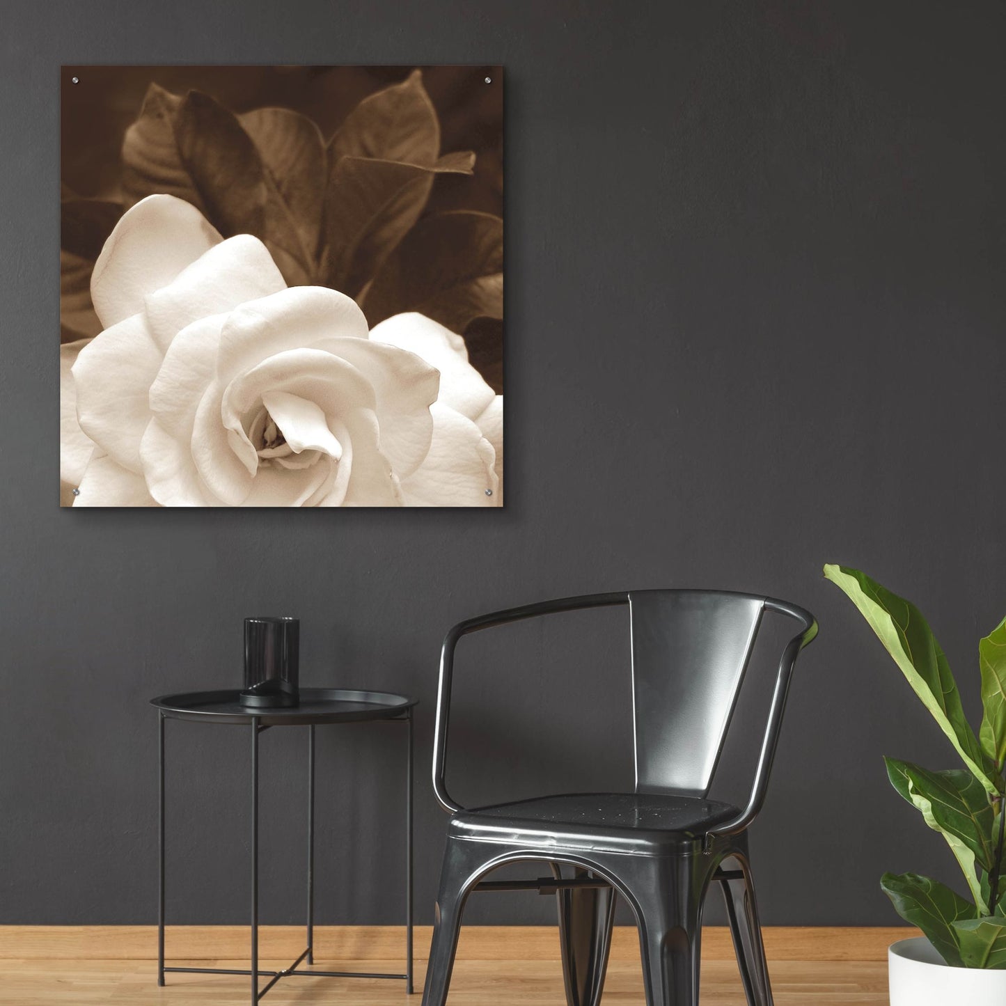 Epic Art ' Gardenia Garden' by Rebecca Swanson, Acrylic Glass Wall Art,36x36