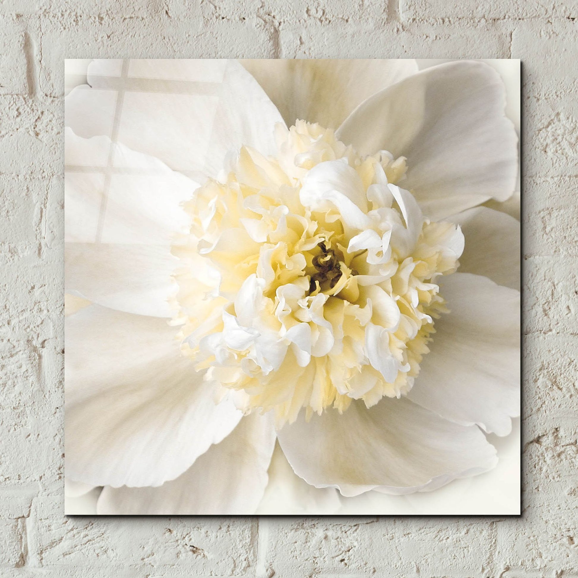 Epic Art ' Peony Praise' by Rebecca Swanson, Acrylic Glass Wall Art,12x12