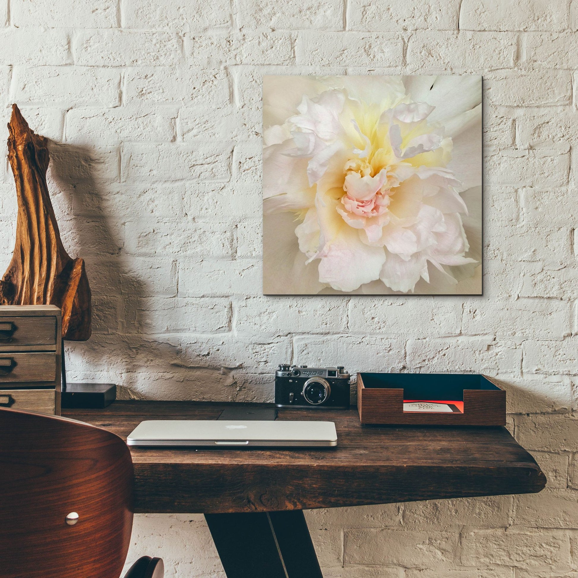 Epic Art ' Paeonia' by Rebecca Swanson, Acrylic Glass Wall Art,12x12