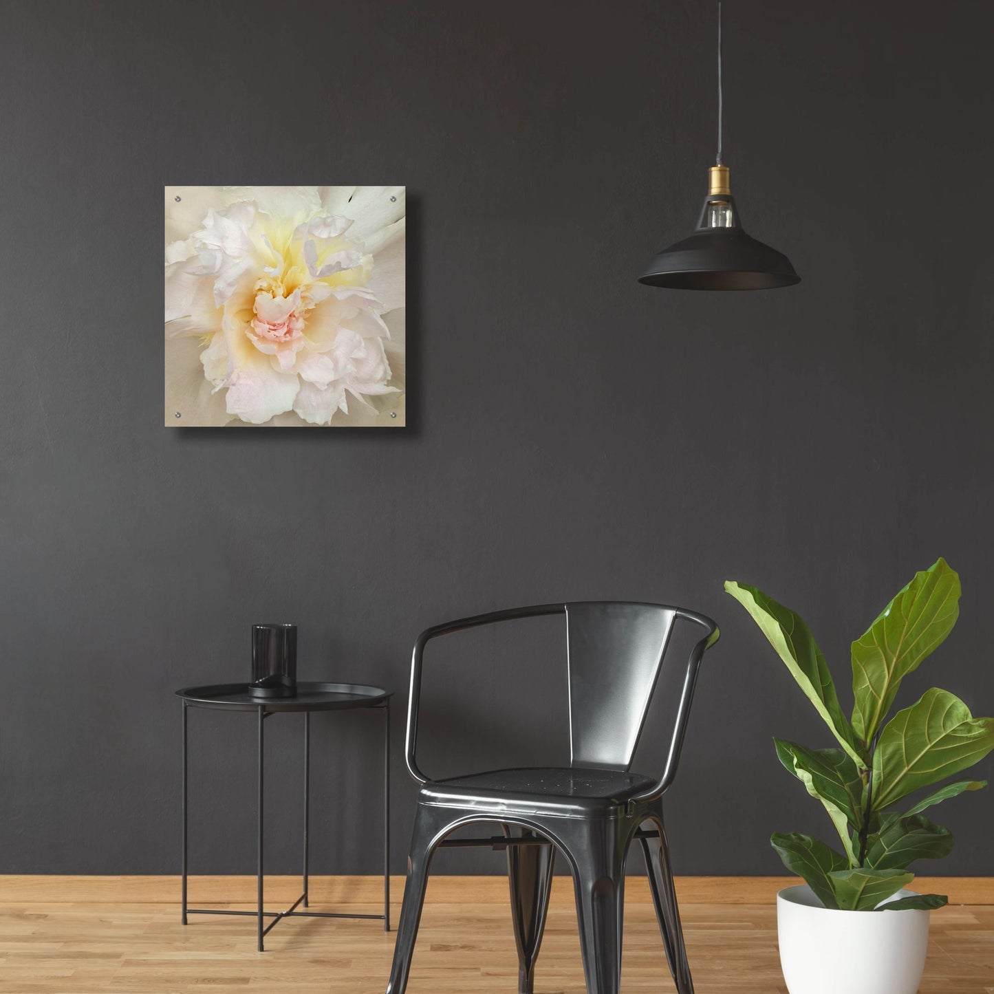 Epic Art ' Paeonia' by Rebecca Swanson, Acrylic Glass Wall Art,24x24